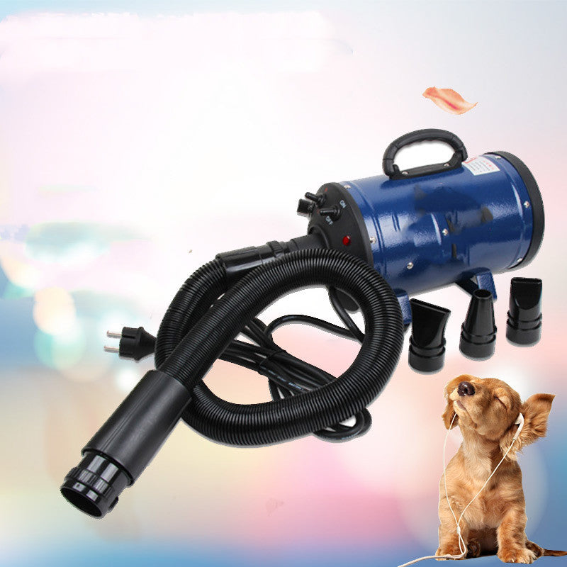 Sèche-Poils pour Animaux 2800W, Outils de Toilettage pour Chiens et Chats, Souffleur à Vent Rapide