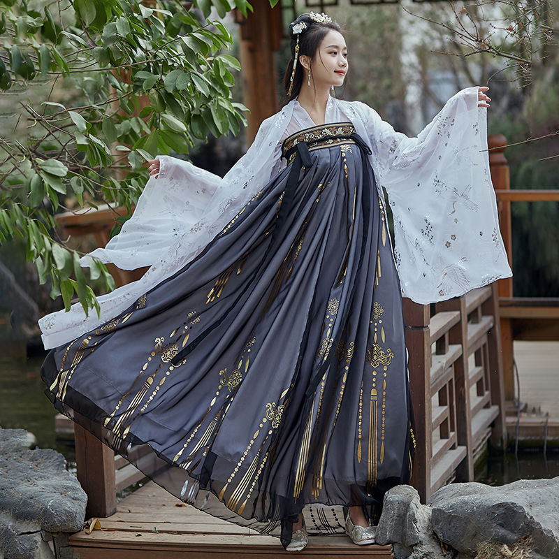 Women's Ancient Style Cloud Crane Hanfu Gilding Large Swing Skirt