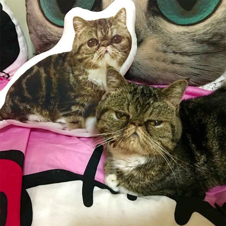 Pillow Pet Kissen individuell anpassen