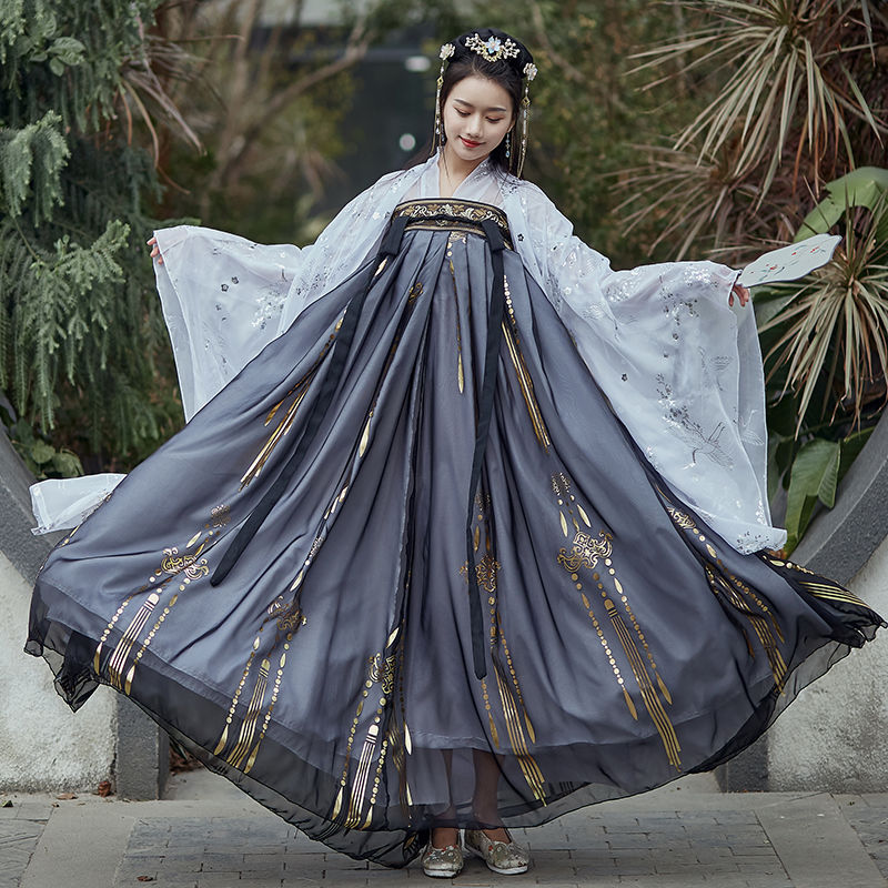 Women's Ancient Style Cloud Crane Hanfu Gilding Large Swing Skirt