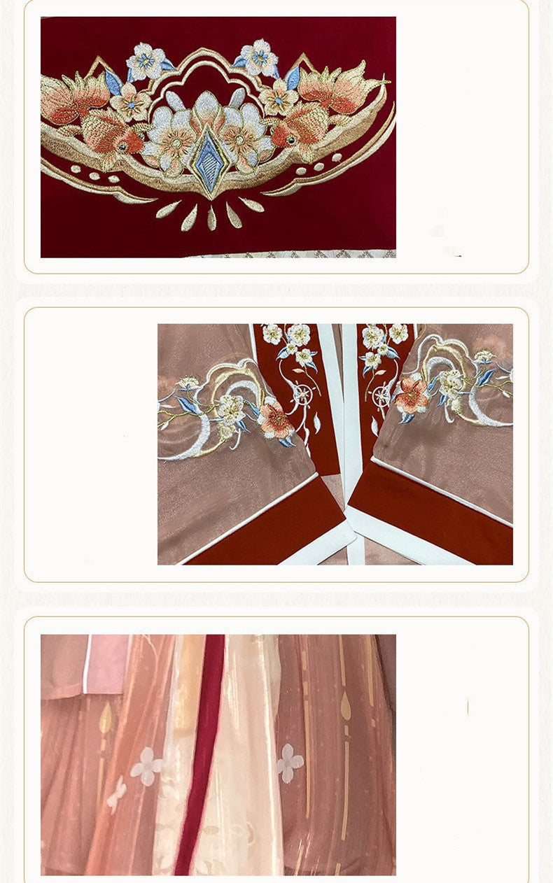 Female Tang Dynasty Hezi Skirt Han Elements Embroidered Suit Hanfu