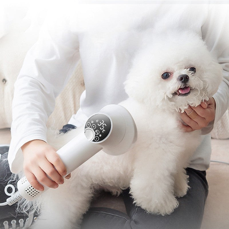 Smart Pet-Haartrockner Hund Golden Retriever Katze Fellpflege Friseur Föhnen & Kämmen Leise Ungiftig Heimtierbedarf Tierprodukte